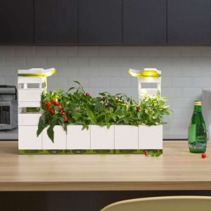 Herb Garden (Medium)  |  LeGrow 10216